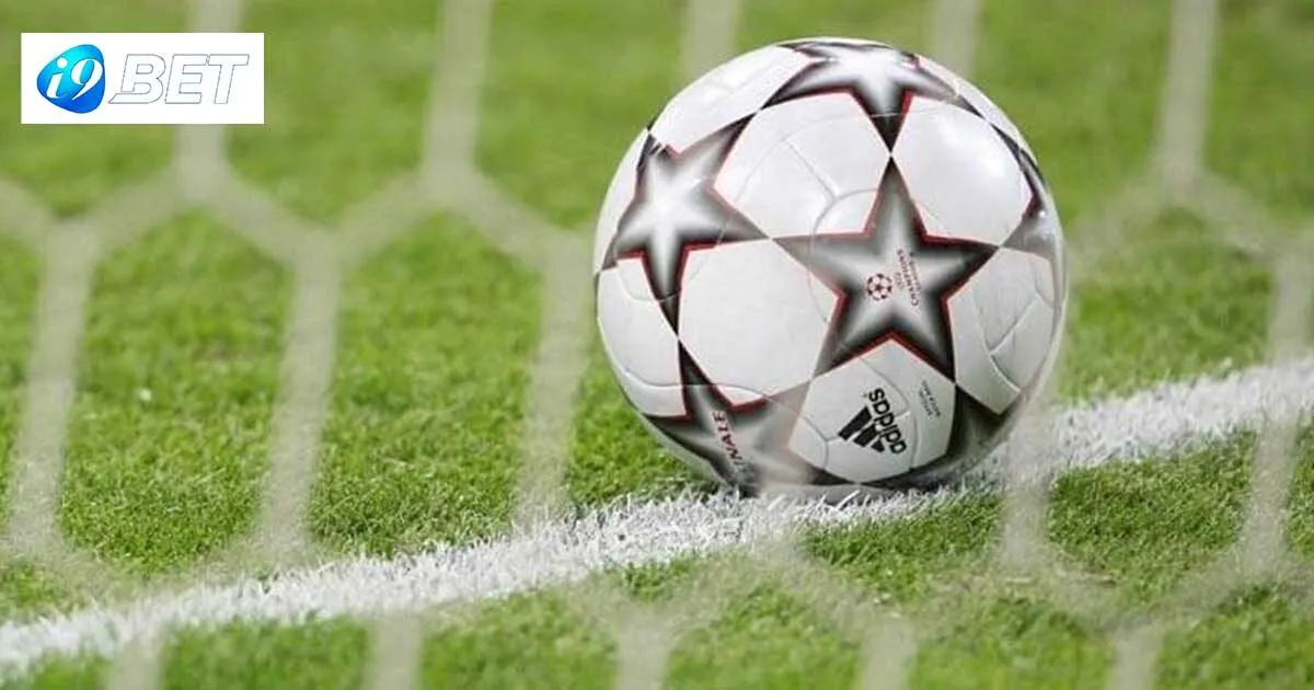 Các loại cược trực tiếp phổ biến hiện nay