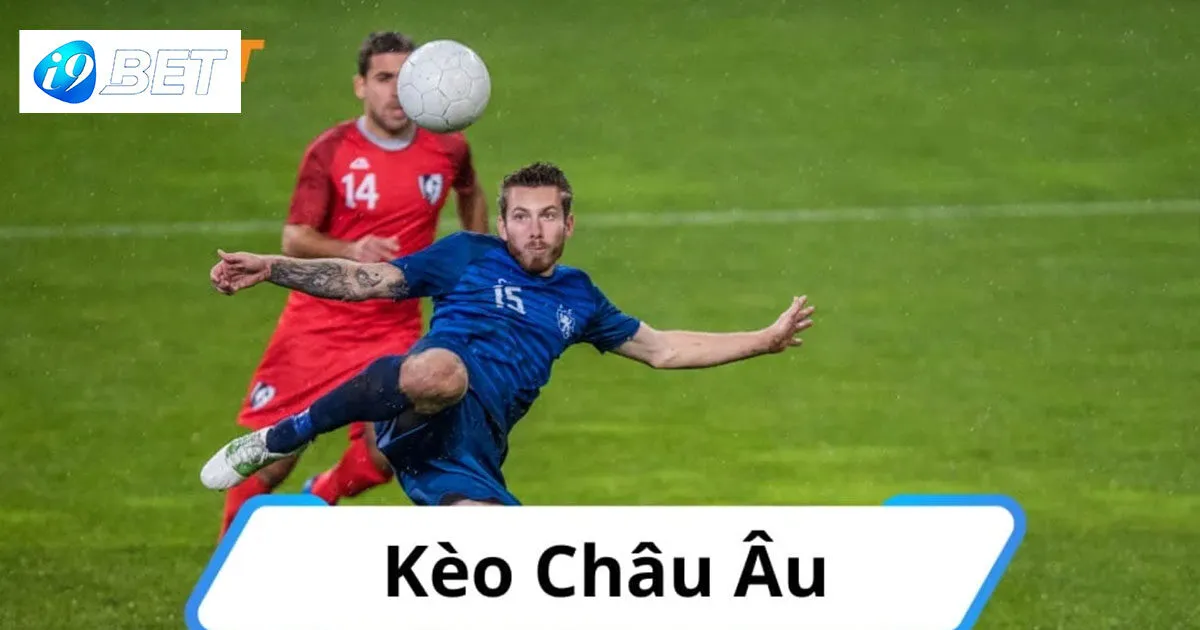 Vạch qua kế hoạch đặt cược chi tiết